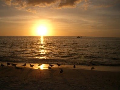 Naples Fishing